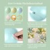 Dusty Green Blue Balloon Garland Arch Kit, 139PCS Green Ash Mist Green Blue Haze Fog Blue Sand White Gold Balloons for Jungle Safari Neutral Birthday Baby Shower Wedding Birthday Party Decorations